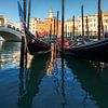 Gondeln am Canale Grande von Alex Neumayer