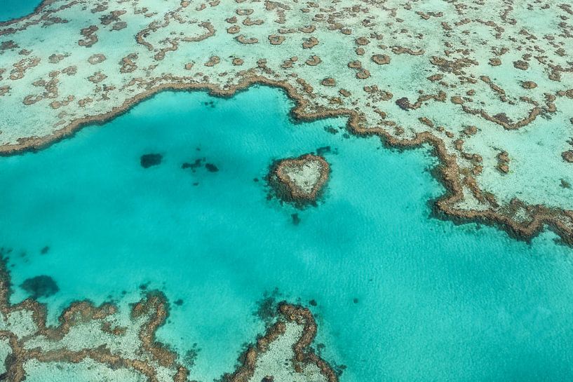 Australien Heart Reef von Robert Styppa