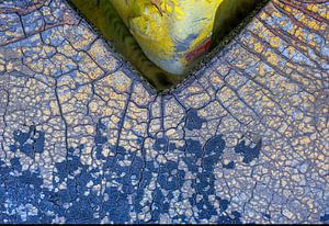 Abstract - geel en blauw in de hoek