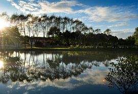 Arbres de réflexion dans l'eau sur Corinne Welp