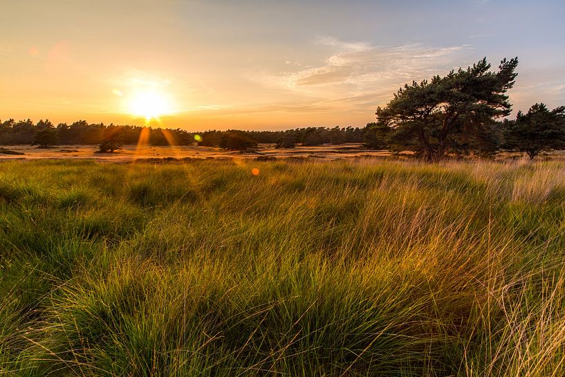 Gouden Zonsondergang van Joram Janssen