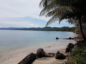 Caraïbische strand