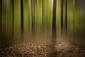 Door de bomen het bos niet meer zien