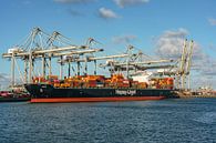 Containerschip Tirua van Hapag Lloyd. van Jaap van den Berg thumbnail