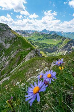 Bloemen en edelweiss met uitzicht op de Hochvogel en de Allgäuer Alpen van Leo Schindzielorz
