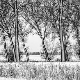 Winter van Niek Goossen