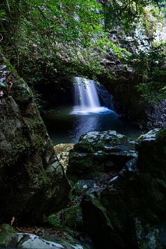 New South Wales, Australie, Waterval, Natural Bridge, Springbrook National Park sur Willem Vernes