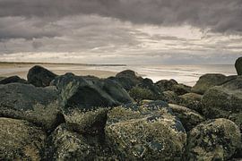 Am Strand von Blåvand Steinbuhnen ins Meer von Martin Köbsch