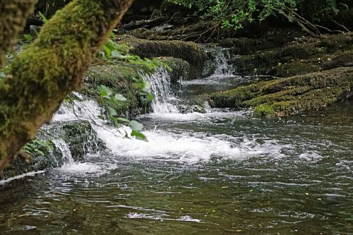 Fowley's Falls in Ierland
