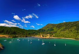 Whatamango-Bucht von Yevgen Belich