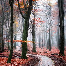 Lovely day by Nevelhart Photography