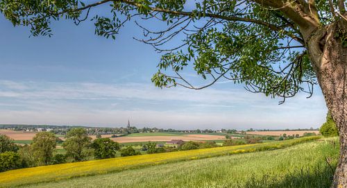 Panorama Mamelis en Vijlen