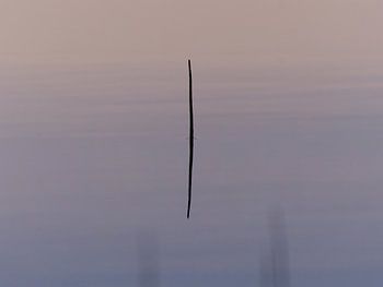 Minimalism