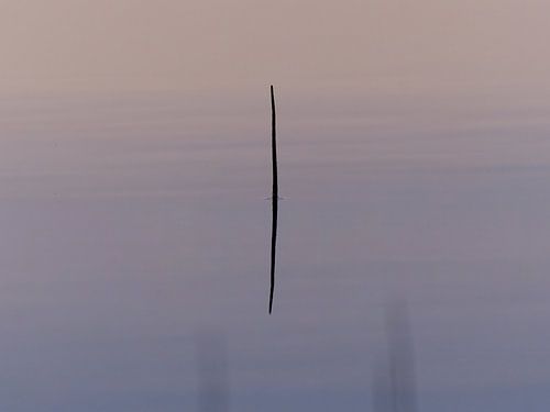 minimalisme