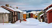 L'hiver à Røros, Norvège par Adelheid Smitt Aperçu