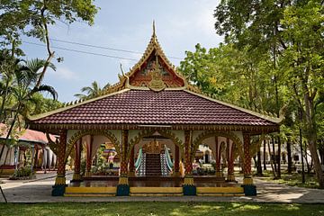 Wat Luang in Attapeu, het gouden juweel van Laos van Frank Photos
