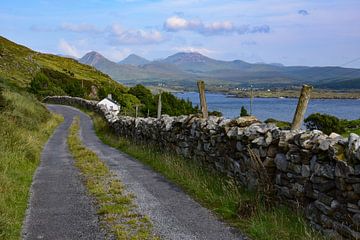 Connemara, Irland - II von Jarne Buttiens
