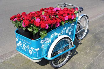 Bakfiets met rode rozen van Carel van der Lippe