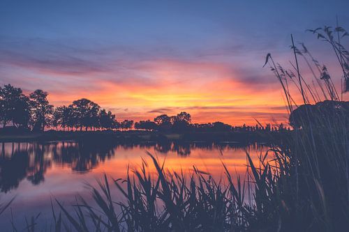 Lovely sunset in a typical Dutch landscape
