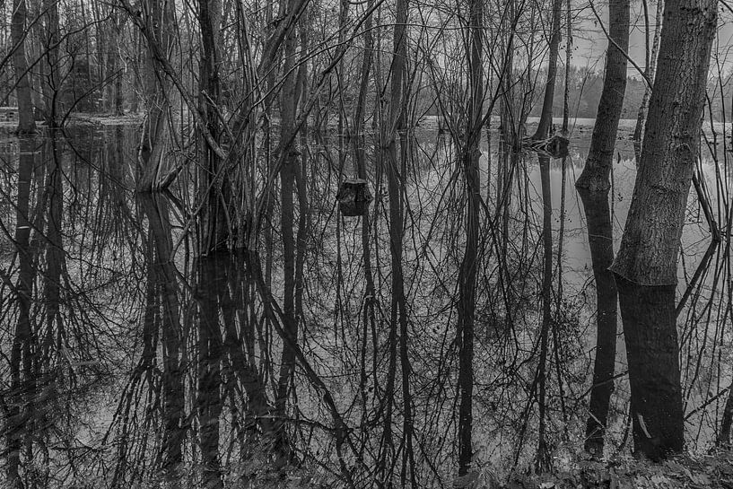 Verdronken land van Peter Bartelings