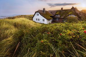 Beach house by Daniela Beyer