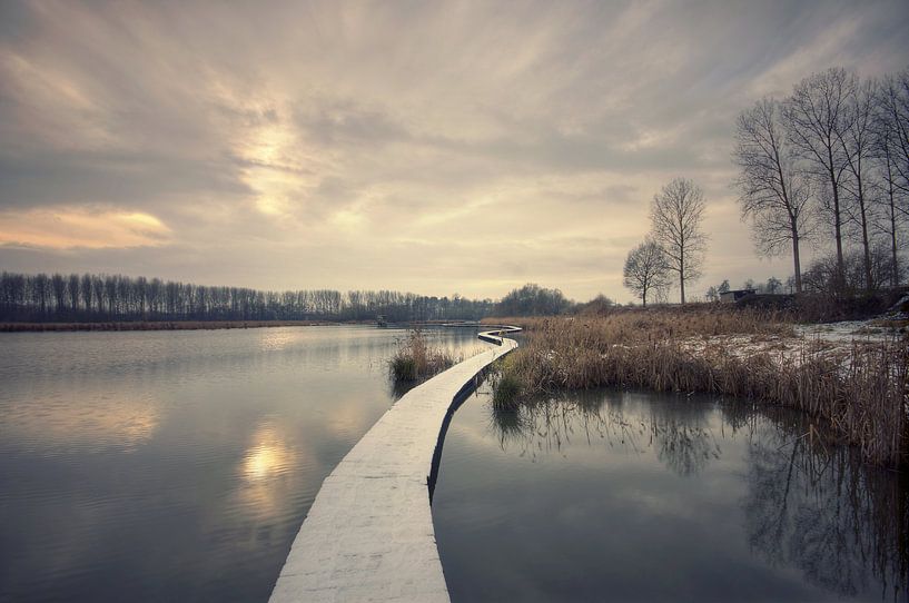 Landschap - Winter bridge par Angelique Brunas