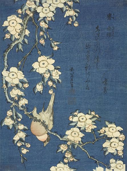 Bullfinch and Weeping Cherry, Katsushika Hokusai by Masterful Masters