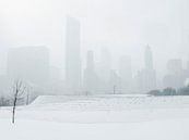 'Sneeuwbui', Chicago van Martine Joanne thumbnail