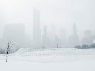 'Sneeuwbui', Chicago van Martine Joanne
