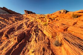 White Domes, Valley of Fire State Park, Nevada, USA by Markus Lange