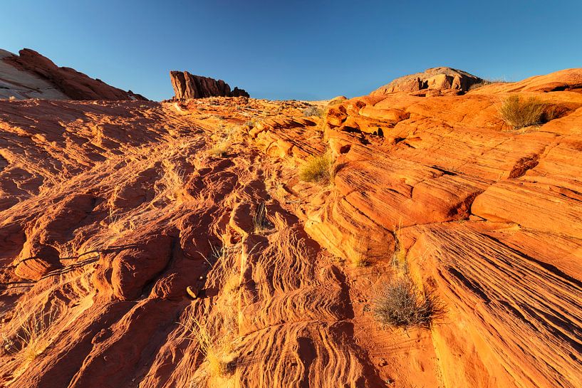 White Domes, Valley of Fire State Park, Nevada, VS van Markus Lange