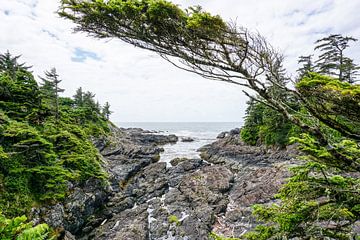 Ucluelet, Colombie-Britannique