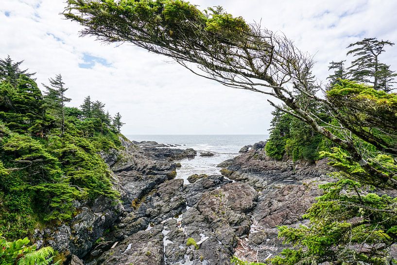Ucluelet, British Columbia by Joris de Bont