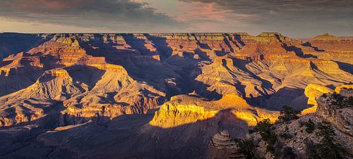 Or lumière du soir sur le Grand Canyon, Etats-Unis sur Rietje Bulthuis
