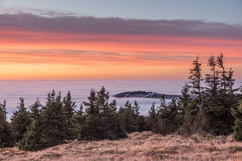 Harz Fog by Patrice von Collani