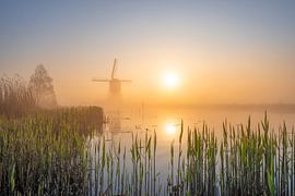 Sunrise with mist over the canal, with a windmill in the background by Bas Meelker
