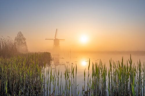 Lever du soleil et brouillard au-dessus du canal, avec un moulin en arrière-plan