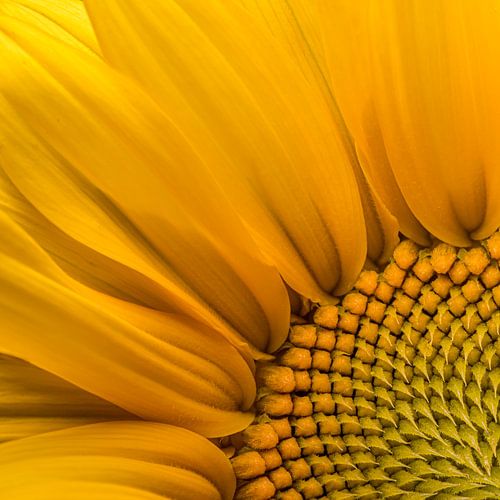 Een vierkantje met zonneschijn