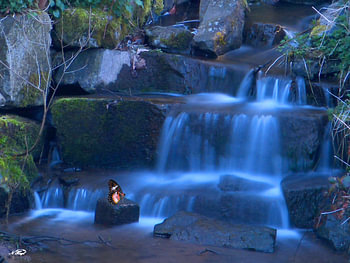 The small waterfall