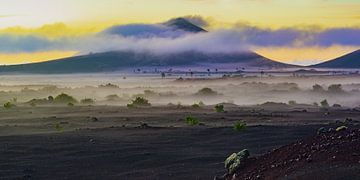 Natuurpark Los Vulkanen van Walter G. Allgöwer