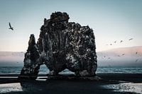 Hvitserkur bij zonsopkomst