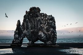Hvitserkur bei Sonnenaufgang von Studio Graber