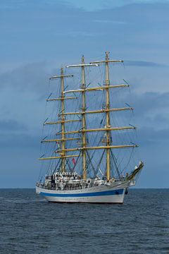 Die STS Mir während der Sail in Scheveningen 2019 von Fred en Roos van Maurik