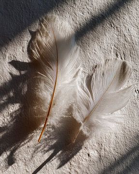 Natuurlijke stilte op beton van Vlindertuin-Art
