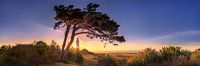 Sunrise at Dornbusch lighthouse on the island of Hiddensee. Panorama picture.