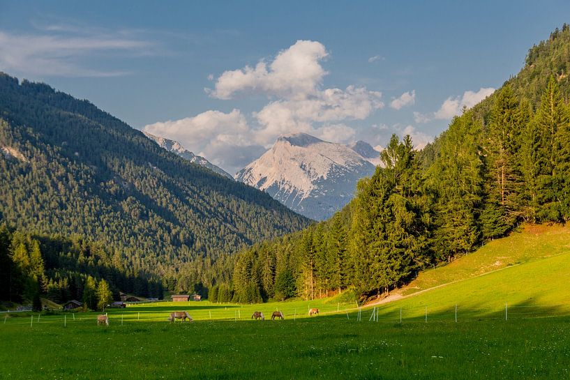 Beautiful alpine panorama in Tyrol by Oliver Hlavaty