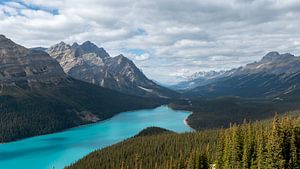 Peyto Lake, Banff National Park in the Canadian Rockies
