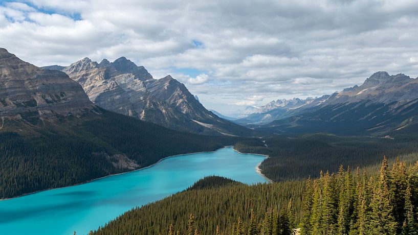 Lac Peyto, parc national de Banff dans les Rocheuses canadiennes par Leon Brouwer