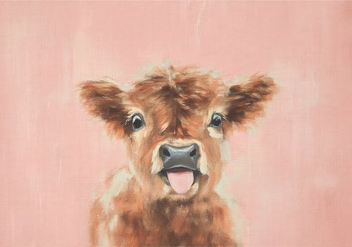 Young Highland calf on a pink background