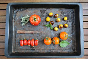 Vier verschillende tomatenvariëteiten van Karina Baumgart